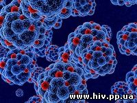 В Европе выявлена первая с 1980 года вспышка ВИЧ-инфекции