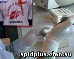 С начала года в Приамурье выявлено более 50 случаев ВИЧ-инфекции